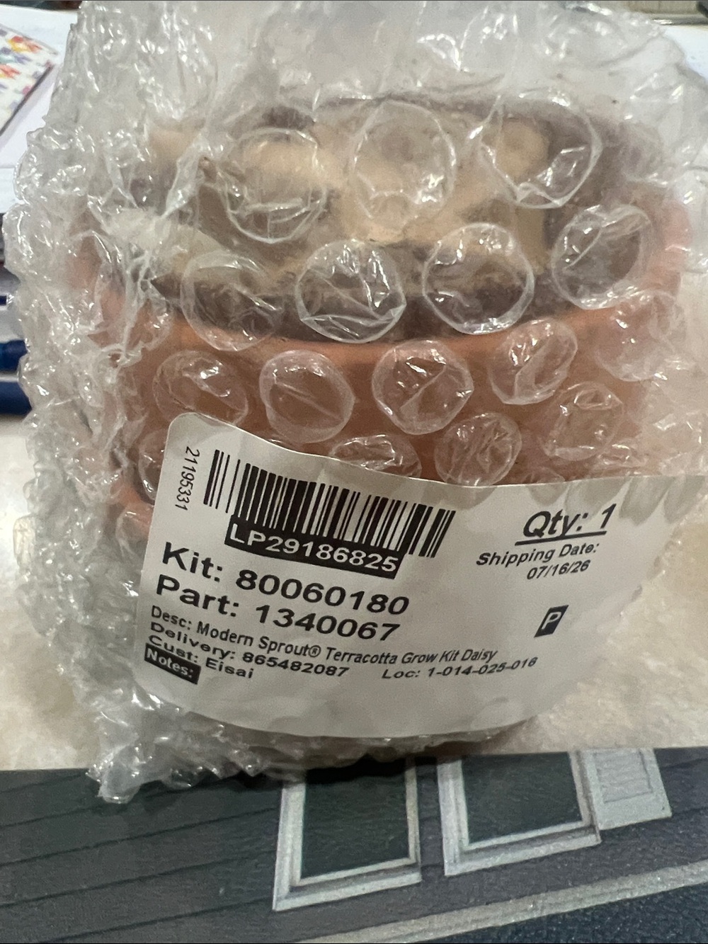 Terracotta Grow Kit - Terracotta